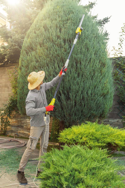 Lawn Watering Services in San Castle, FL